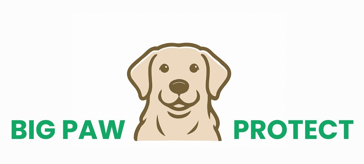 Big Paw Protect